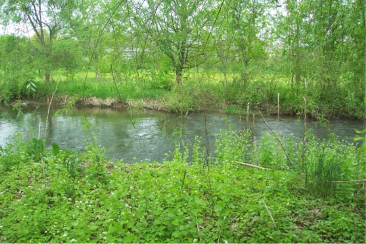 Spring Creek Park