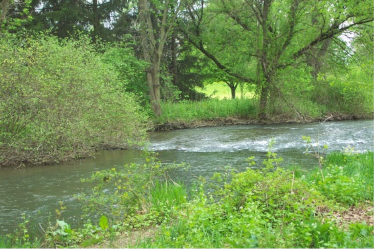 Spring Creek Park