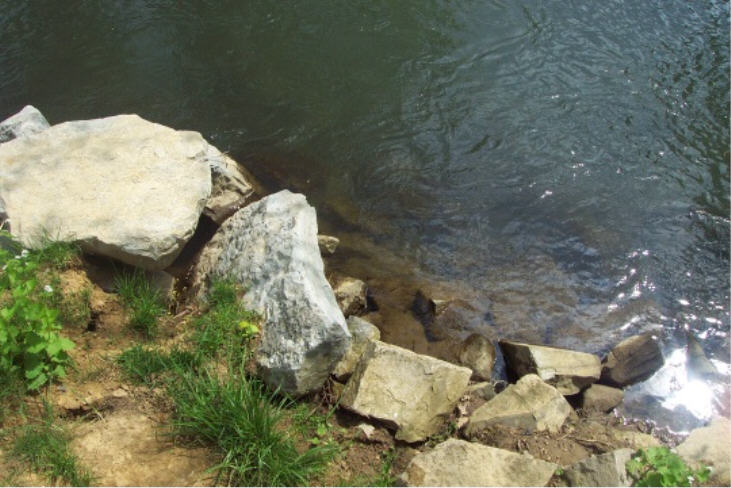 Spring Creek Park