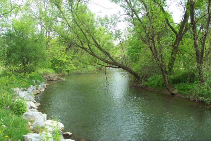 Spring Creek Park