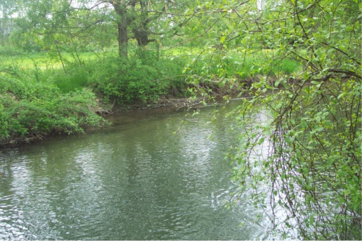 Spring Creek Park