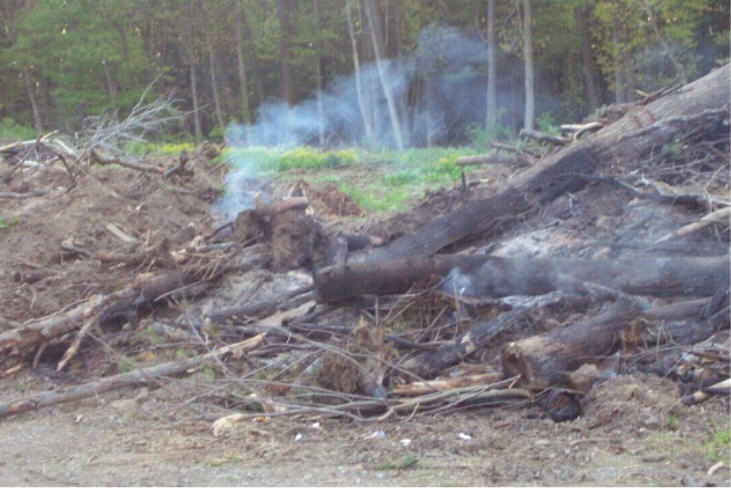 Toftrees (I don't know if that's *supposed* to be on fire.)